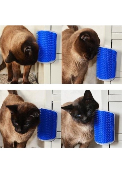Pratik Kedi Tüyü Kaşıma ve Tarama Aparatı Duvara Monte Kaşıma Aleti