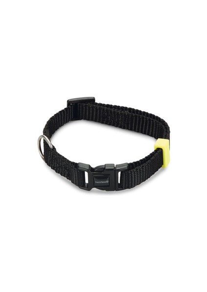 Köpek Boyun Tasması, Siyah, 20-30cm, 10mm