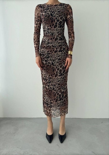 Tera Tül Elbise fiyatları