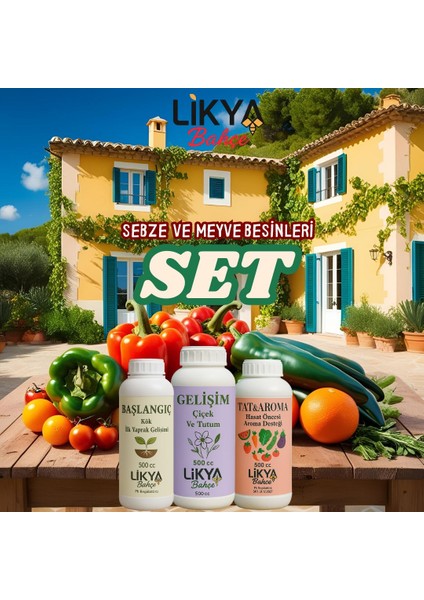 Sebze ve Meyve Besinleri Seti