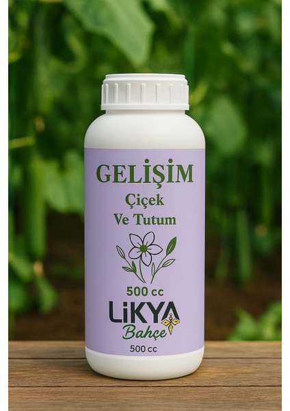 Sebze ve Meyve Besinleri Seti