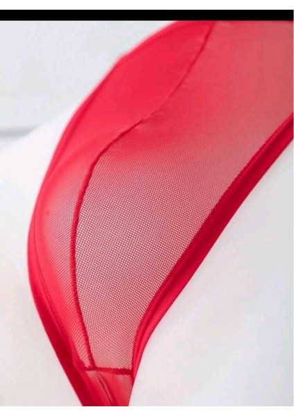 Erkek Kırmızı Transparan Tanga Iç Giyim modelleri