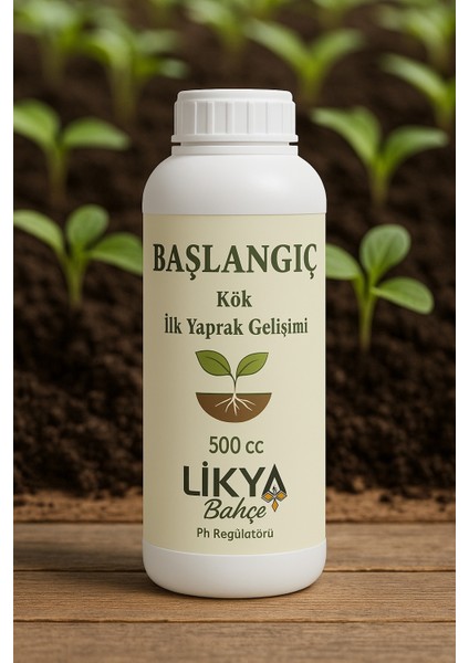Başlangıç Sebze ve Meyve Bitki Besini