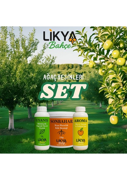 Ağaç Besinleri Seti
