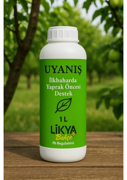 Ağaç Besinleri Seti