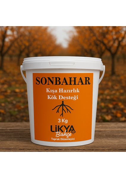 Ağaç Besinleri Seti