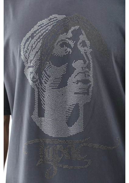 Oversize Taşlı Bisiklet Yaka T-Shirt - Füme modelleri