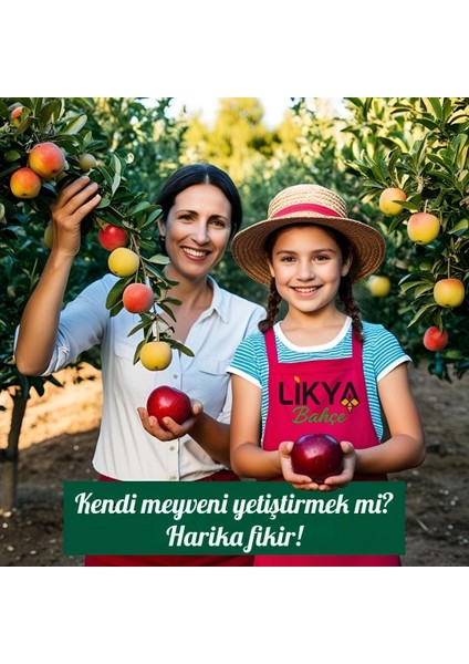 Uyanış Ağaç Besini