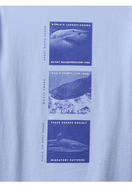 Erkek Çocuk Mavi Grafikli T-Shirt