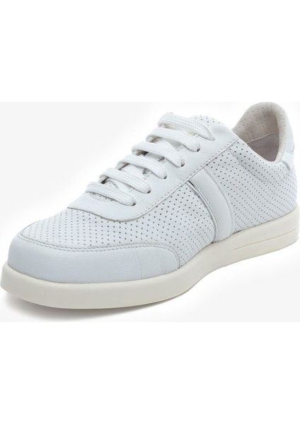 5Y2UA34381-34381 Zn Urban Ayk (S)