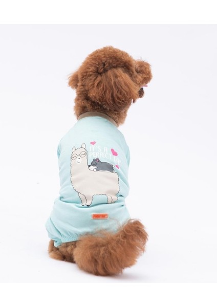 Lama&Dog Küçük Irk Köpek Penye Tulum Pijama