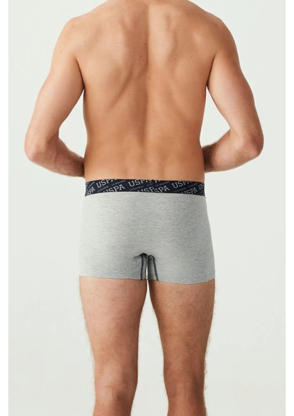 Erkek, Lisanslı, Uspa, Renkli, 3'lü Boxer