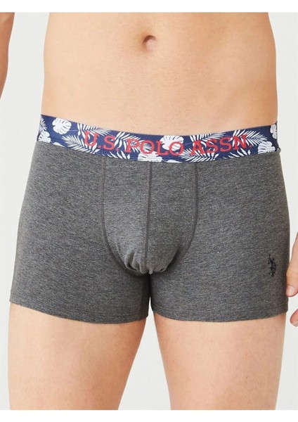 Erkek, Lisanslı, Uspa, Renkli, 3'lü Boxer