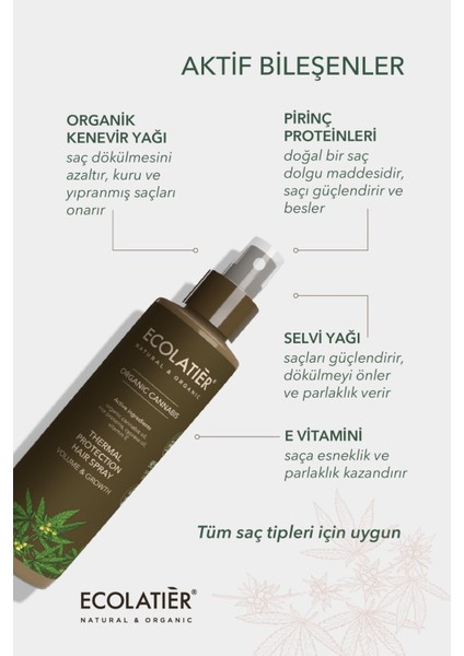Isı Koruyucu Saç Spreyi Hacim Veren Ve Hızlı Uzama, Saç Güçlendirici Organik Kenevir 200 ml