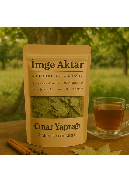 Çınar Yaprağı 25G