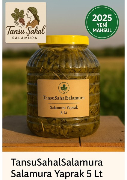 5 Lt Pette Katkısız Ev Yapımı Salamura Asma Yaprağı | Nenem Usulü | 3 kg Net Yaprak