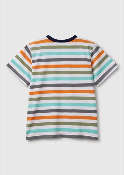 Erkek Çocuk Mix Bnt-B Çizgili Tshırt 3FHXC10MW-25Y-095 fiyatları