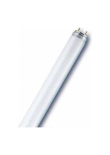 T8 Floresan Lamba Kırmızı 18W 60 cm