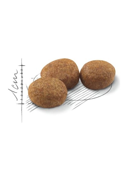 Royal Canin Sterilised Kısırlaştırılmış Kedi Maması 1 kg Paketlenmiş fiyatları