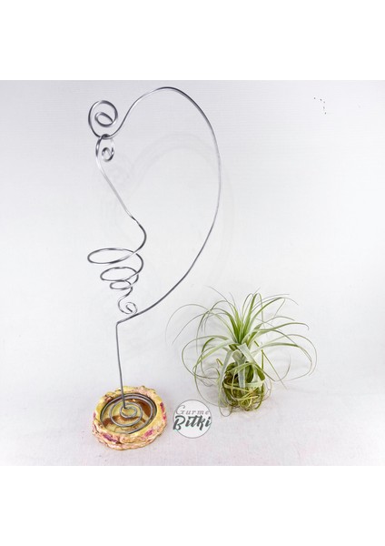 Gardneri Swing Stand - Hava Bitkisi Airplant Tillandsia Aranjman