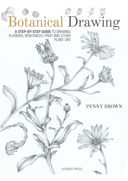 Drawing: A Step-By-Step Guide To Drawing Flowers, Vegetables, Fruit And Other Plant Life