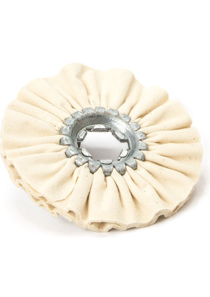 Koton Daire Fırça 150X19 mm