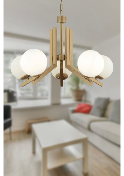 Morgan 5 Lü Eskitme Boyalı Beyaz Camlı Modern Genç Odası Yatak Odası Salon Avize