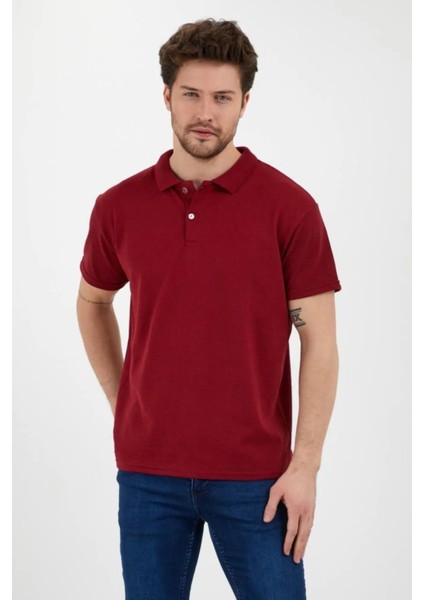 Erkek Polo Yaka Kısa Kollu Regular Fit T-Shirt