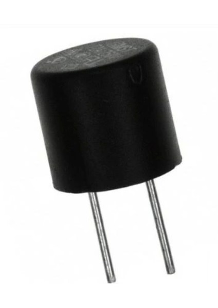 5A 250V Kondansatör Tip Sigorta (4887)