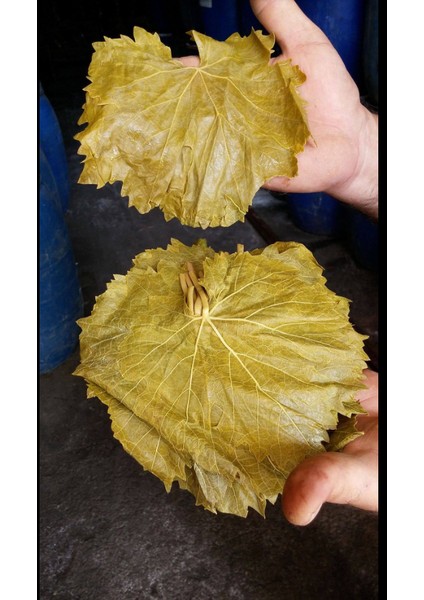 Yaprak Tokat Erbaa Altınseri 1kg Vakumlu