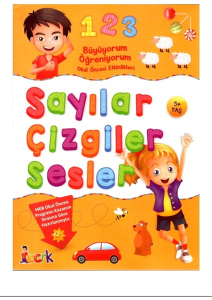Sayılar Çizgiler Sesler / Büyüyorum Öğreniyorum