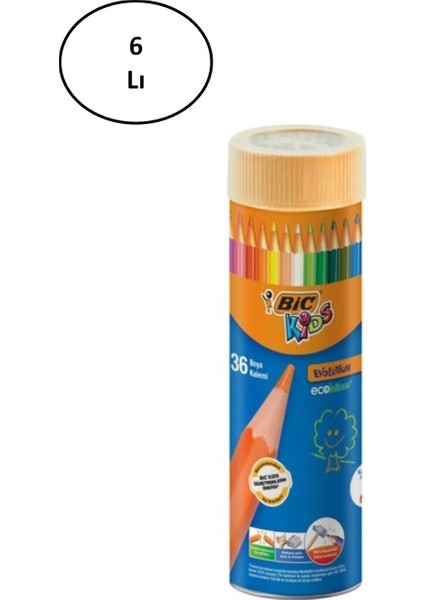Bic Evolution Kuru Boya Kalemi 36'lı Metal Tüp 6'lı