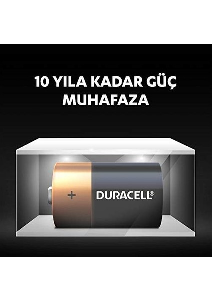 Alkalin D Piller, 2 Li Paket