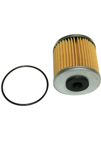 2set O-Ringli Şanzıman Filtresi Hidro Dişli 71943 Şanzıman Ferris Gravely Scag (Yurt Dışından)