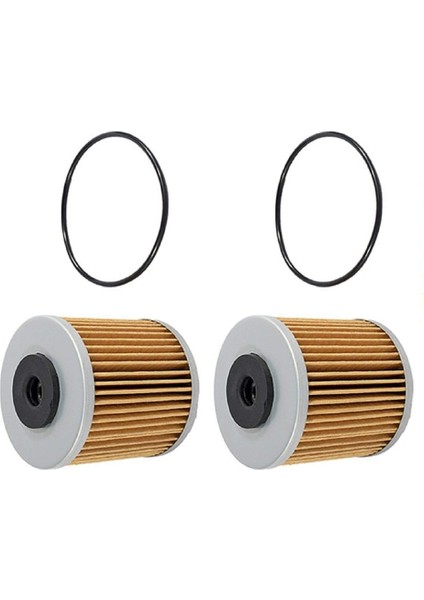 2set O-Ringli Şanzıman Filtresi Hidro Dişli 71943 Şanzıman Ferris Gravely Scag (Yurt Dışından)