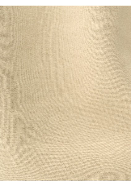 Regular Fit Erkek Sweatshirt
