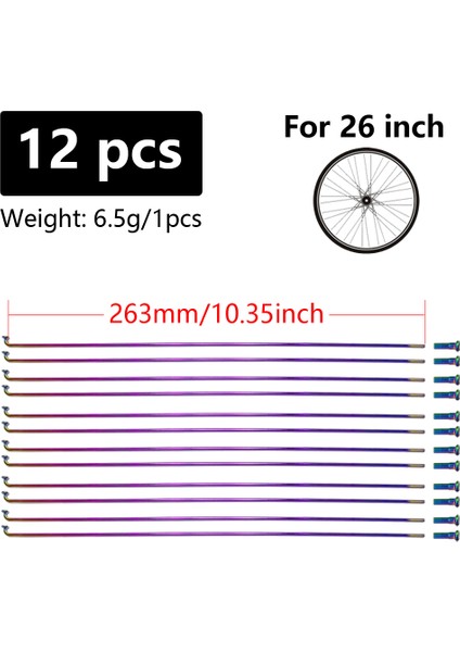 12 Adet 263MM Tarzı Inç Tekerlekli Dağ Yol Bisikleti Için Gökkuşağı Renkli Bisiklet Telleri ve Mamelonlar Paslanmaz Çelik Yüksek Dayanıklılık Bisiklet Telleri (Yurt Dışından)