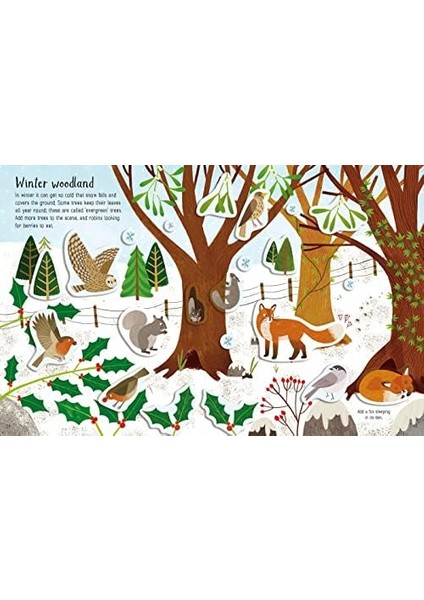 Sticker Book Seasons: 1 modelleri