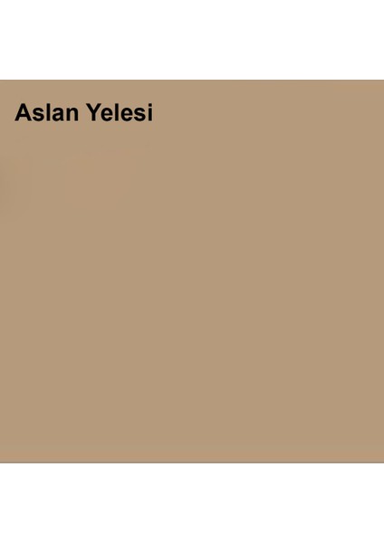 Plastik Mat Iç Cephe Boyası Aslan Yelesi 2,5 Lt (3,5 Kg) fiyatları