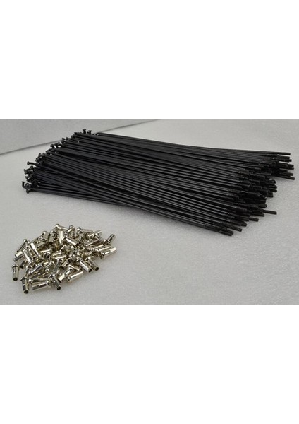 117MM 10 Adet Tarzı Elektrikli Bisiklet Için 12G Paslanmaz Çelik Jant Tel Çap Uzunluk mm Tel Çelik Eşleşen Somun ve Nipel ile (Yurt Dışından)