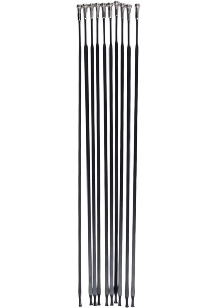 290MM 10 Adet Stil Mavıc Cr Ak Eq Jant Takımı Spokeli Yol Bisikleti Düz Düz Spokeler ile Spok Kapakları Paslanmaz Çelik Bisiklet Spokes (Yurt Dışından)