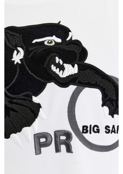 Oversize, Nakışlı Pamuk T-Shirt Gym Rag Top Big Sam 3380 modelleri