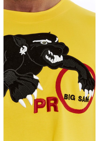 Oversize, Nakışlı Pamuk T-Shirt Gym Rag Top Big Sam 3380 fiyatları