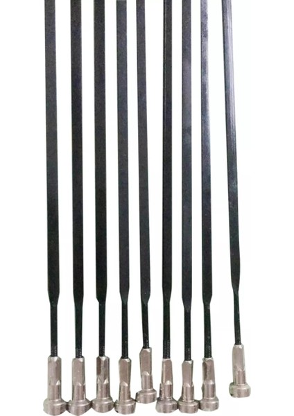 261MM 10 Adet Stil Mavıc Cr Ak Eq Jant Takımı Spokeli Yol Bisikleti Düz Düz Spokeler ile Spok Kapakları Paslanmaz Çelik Bisiklet Spokes (Yurt Dışından)