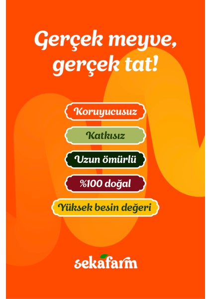 Freeze Dried Kayısı, Dondurularak Kurutulmuş Meyve Cipsi, Freeze Dry Meyve Kurusu 30 gr