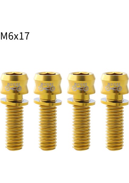 M6-17 Altın Tarzı Muqzı Bisiklet Disk Fren Vidaları M6 * mm Mtb Yol Bisikleti Direksiyon Gövdesi Vida Titanyum Alaşımı Mekanik Kaliper Sabitleme Civatası (Yurt Dışından)
