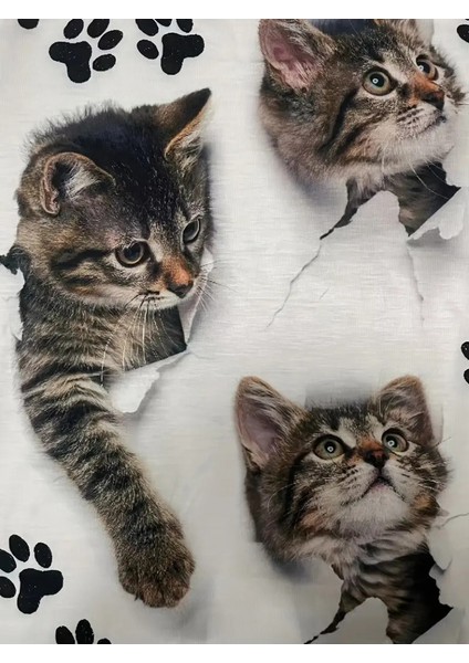 Kadın Kısa Kollu Kedi ve Pati Baskılı Süprem T-Shirt