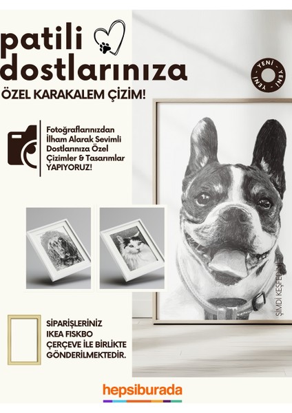 Patili Dostunuza Özel Karakalem Çizim Dijital Çerçeveli - Kedi & Köpek