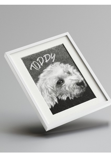 Patili Dostunuza Özel Karakalem Çizim Dijital Çerçeveli - Kedi & Köpek modelleri