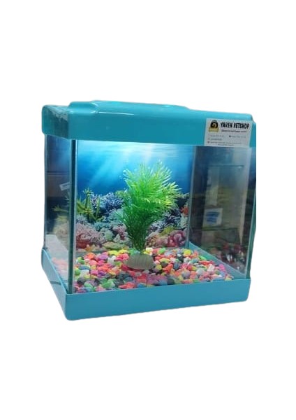 Yaren LED Işıklı Mini Akvaryum